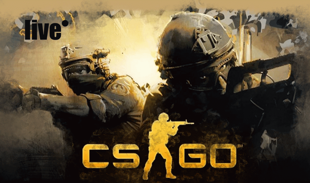 The first game Counter-Strike